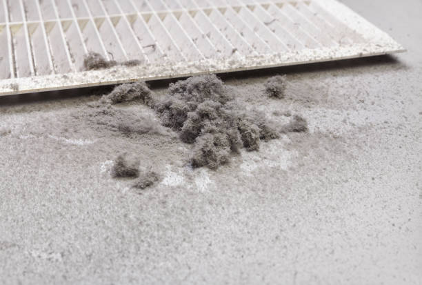 Best Home Air Vent Cleaning  in Garden City, ID