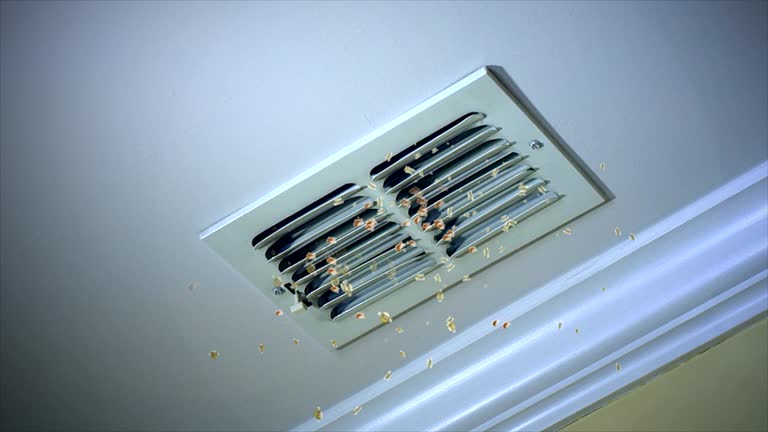 Best Air Duct Sanitizing Services  in Garden City, ID